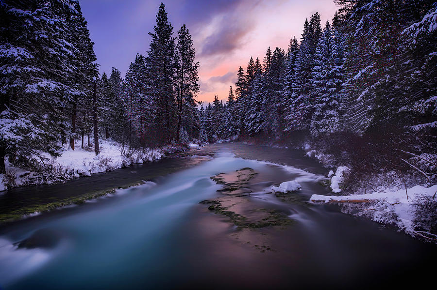 Winter Photograph - Sunset on the Metolius by Cat Connor