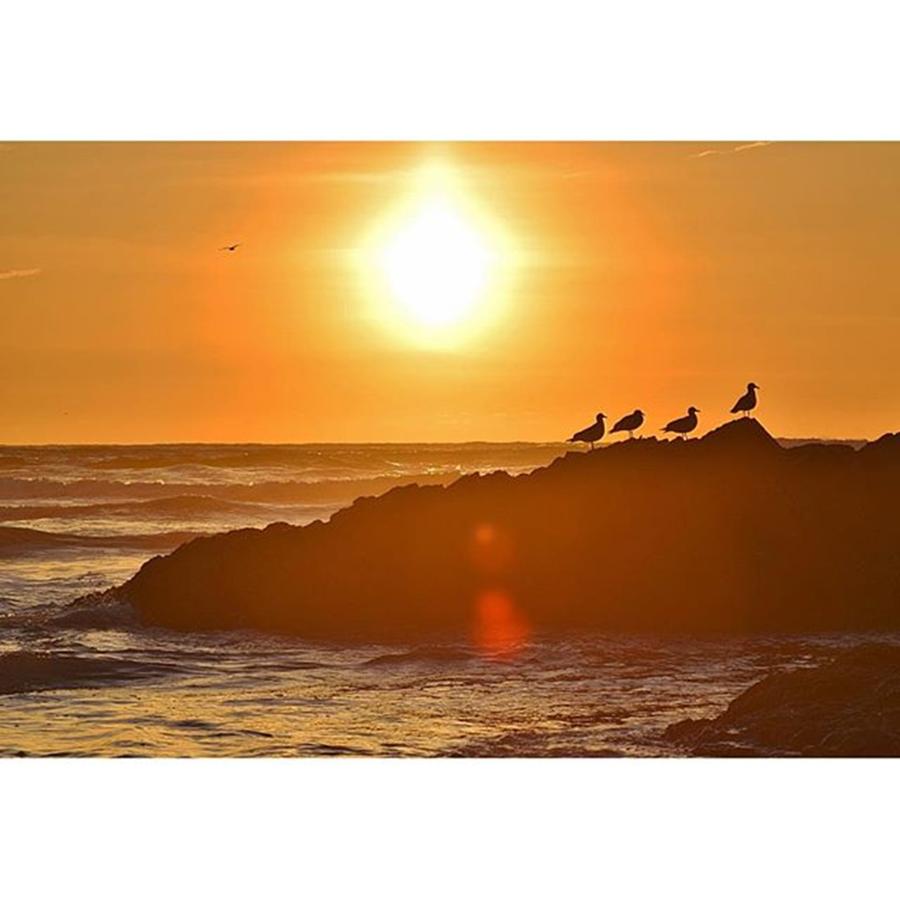Sunset On The Oregon Coast On Wednesday Photograph by Mike Warner