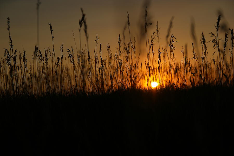 Sunset On The Plains Photograph