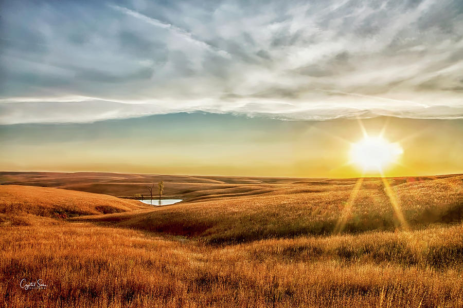 Sunset on the Prairie Photograph by Crystal Socha
