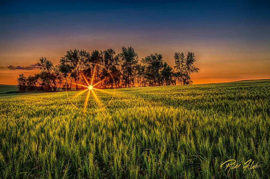 Sunset on the Prairie Photograph by Rikk Flohr