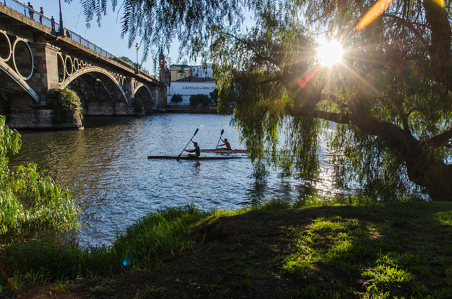 Sunset on the river - Seville  Photograph by AM FineArtPrints