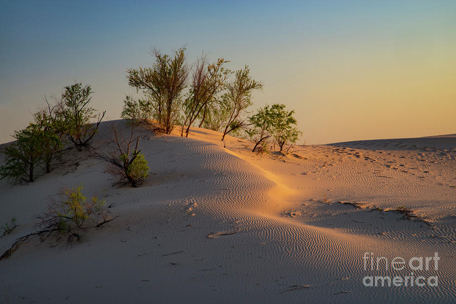 Sunset on the Sandhills Photograph by Bob Phillips
