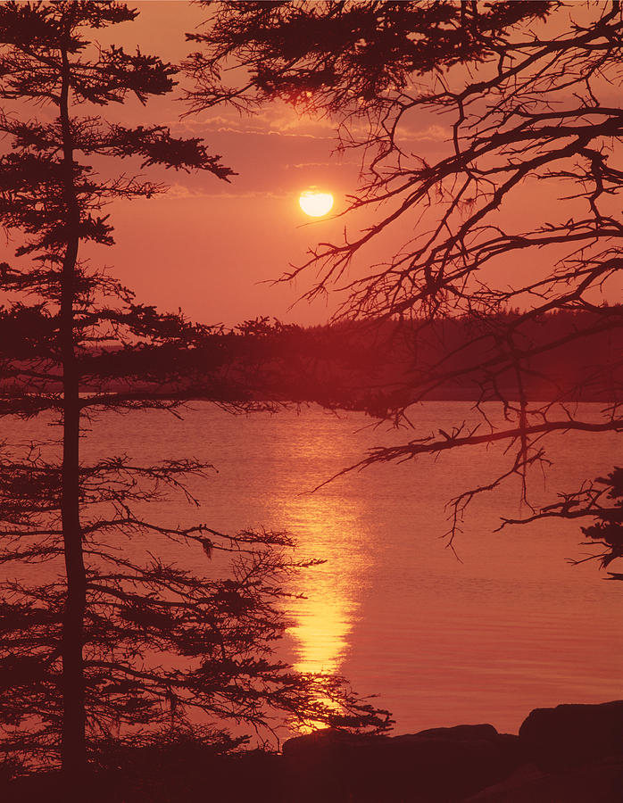 136235-Sunset on the Schoodic Peninsula  Photograph by Ed  Cooper Photography