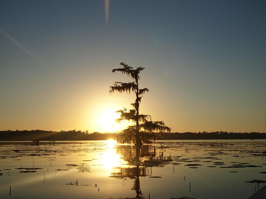 Sunset on the Swamp Photograph by Lawrence Allen