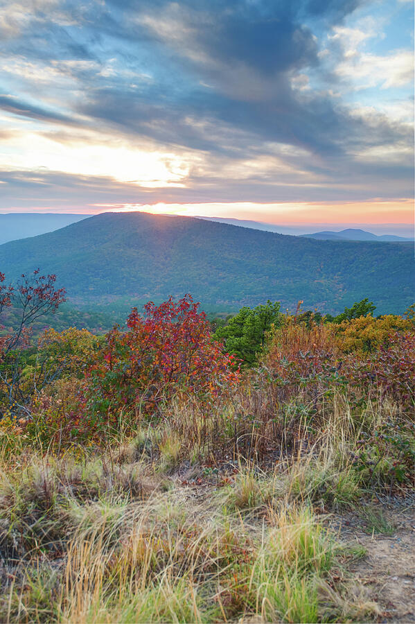 Sunset on the Talimena Scenic Byway Photograph by Gregory Ballos