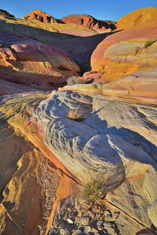 Sunset on the Walls of Pastel Canyon in Valley of Fire Photograph by Ray Mathis