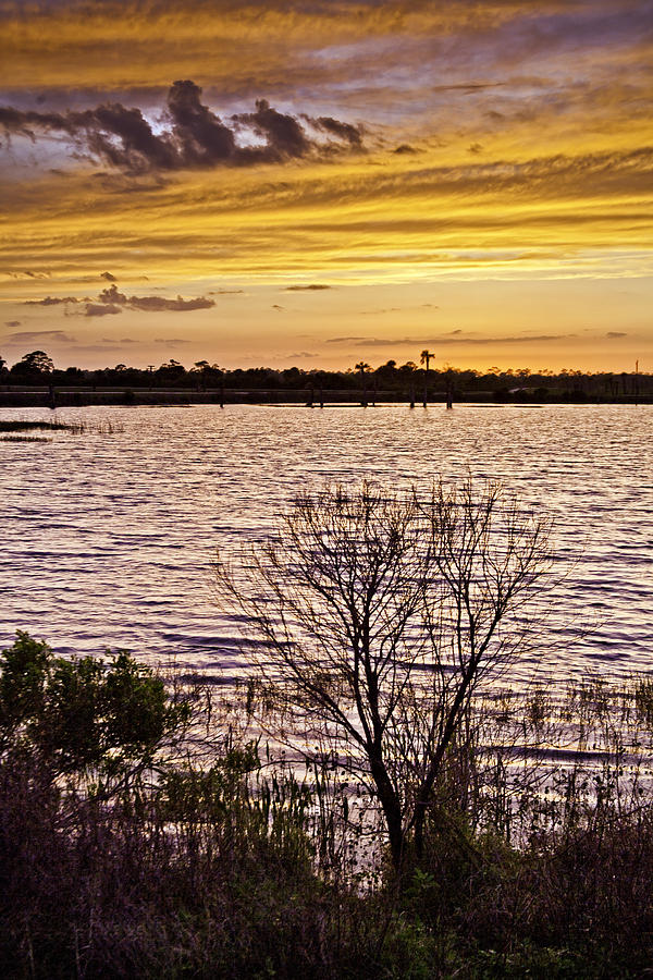 Sunset On The Wetlands Photograph