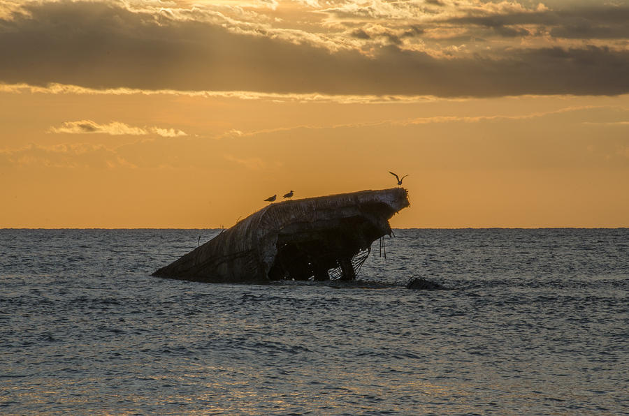 Sunset Photograph - Sunset on the Wreck of the Concrete Ship Atlantus by Bill Cannon