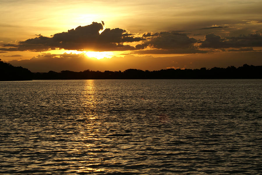 Sunset on the Zambezi Photograph by Brandy Herren