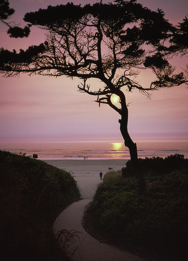 Sunset on the Zen Path Photograph by HW Kateley