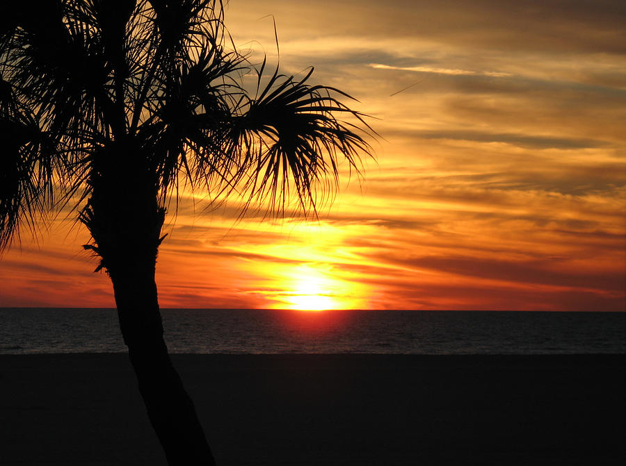 Sunset On Treasure Island Beach Photograph By Deb Breton