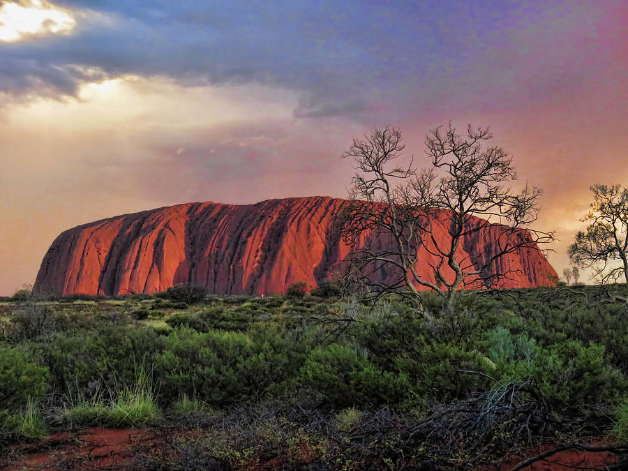 Sunset on Uluru Photograph by Helaine Cummins