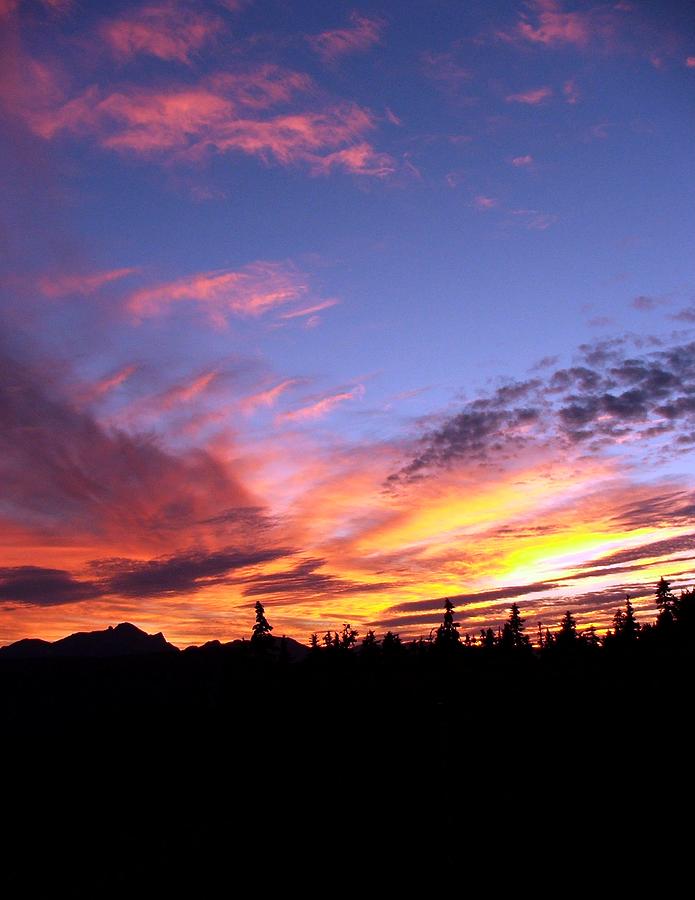 Sunset on VanCouver Island Photograph by Robert Meanor