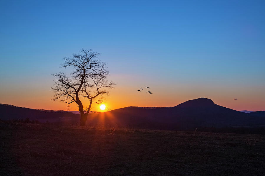Landscape Photograph - Sunset Over Buffalo Mountain by Amy Jackson
