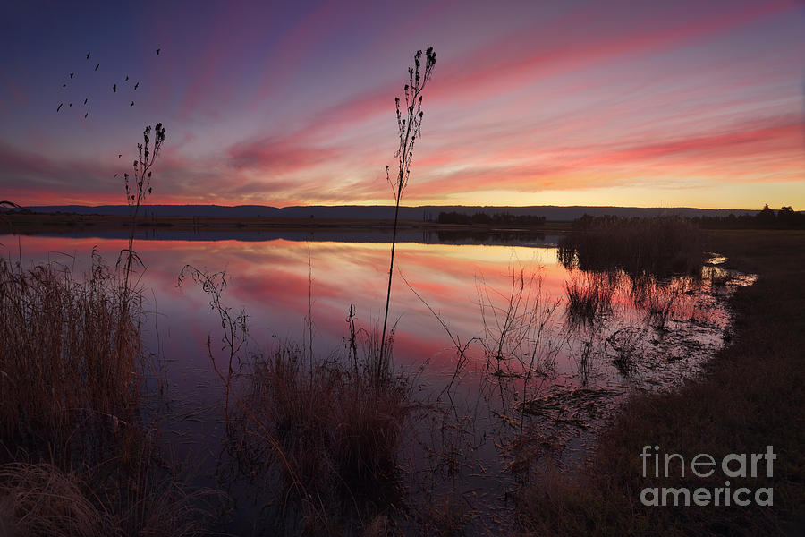 Sunset Over Duralia Lake Penrith And Reflections Photograph