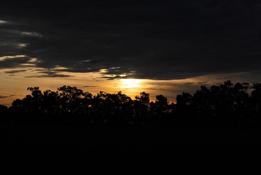 Tree Photograph - Sunset Over Farm and Trees - Silhouette View  by Matt Quest