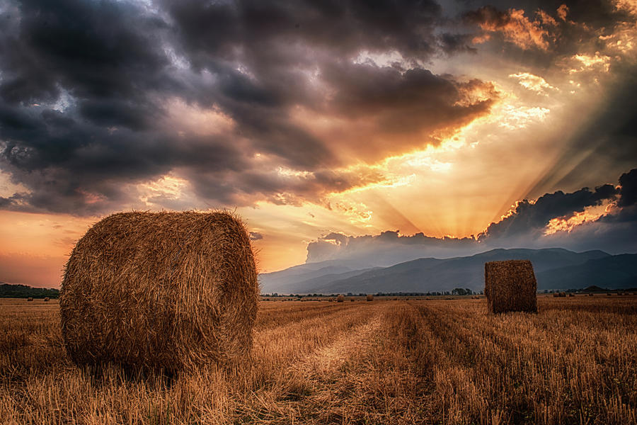 Landscape Photograph - Sunset Over Farm Field  by Plamen Petkov