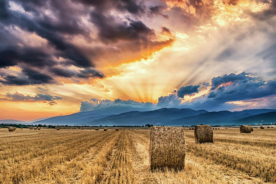 Sunset Over Farm Field With Hay Bales Photograph by Plamen Petkov