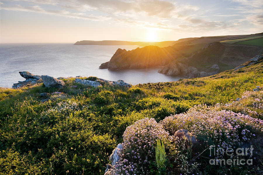 Sunset Photograph - Sunset over Gammon Head, Devon by Justin Foulkes