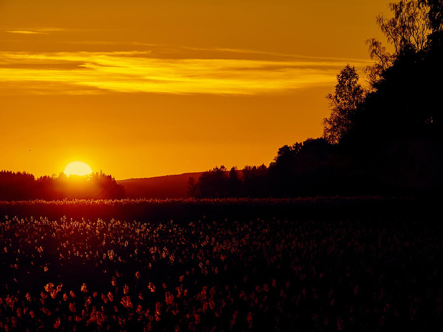 Sunset over Kulovesi Photograph by Jouko Lehto