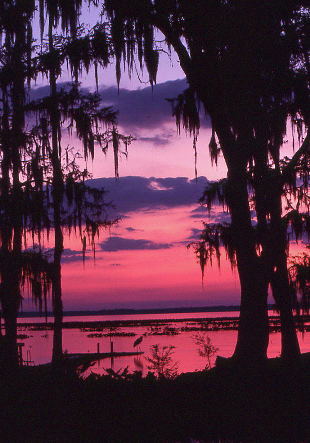 Sunset Over Lake Lockloosa 2  Photograph by Jack Cushman