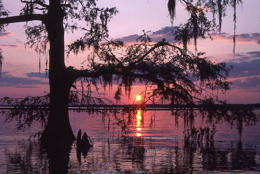 Sunset Over Lake Lockloosa Photograph by Jack Cushman