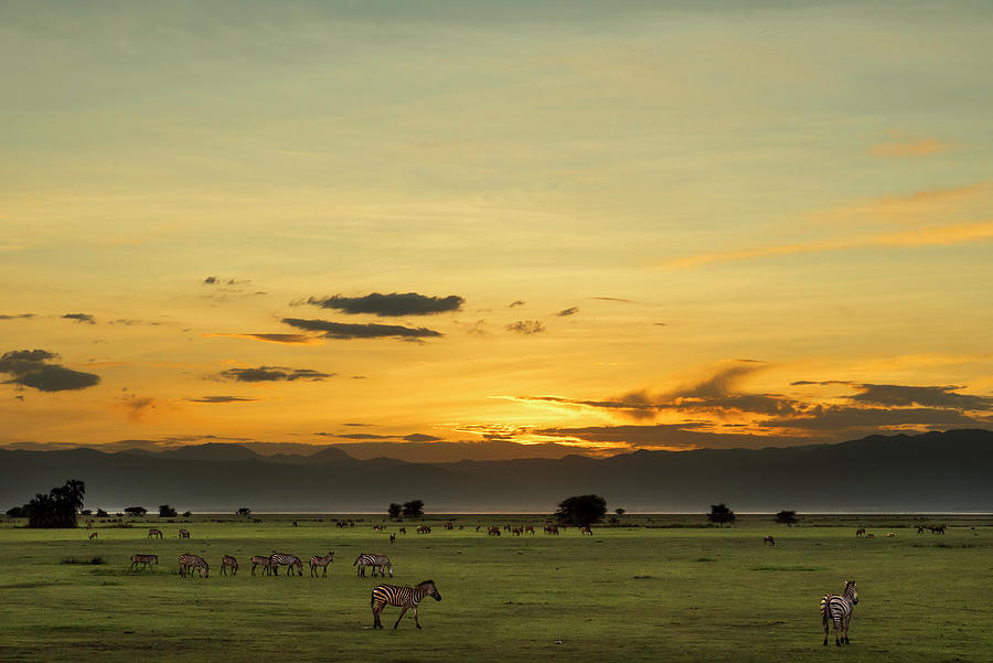 Sunset over Lake Manyara National Park Photograph by RicardMN Photography