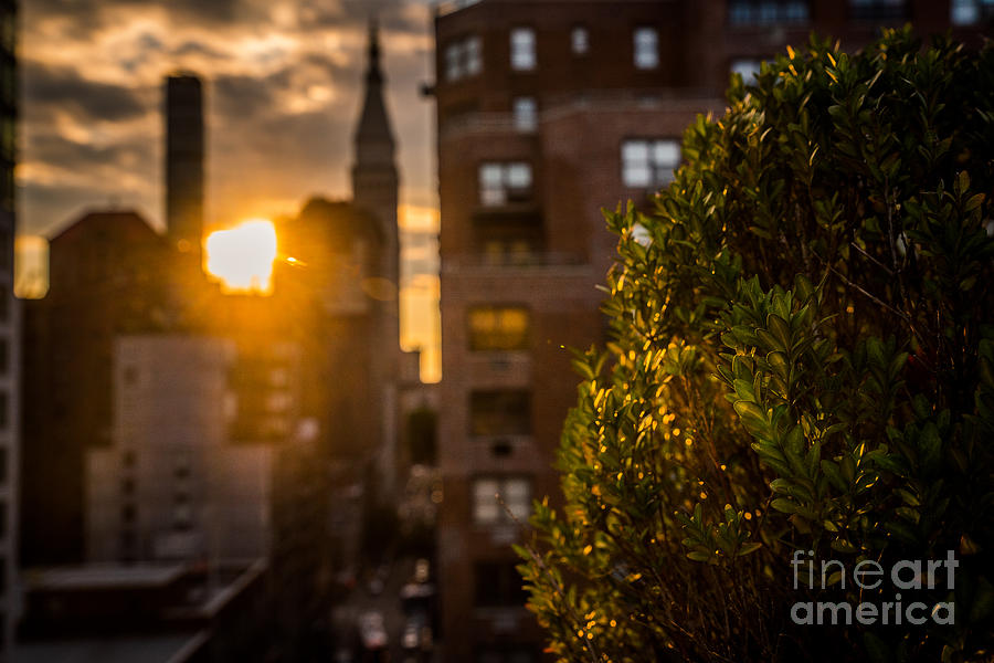 Sunset over Manhattan New York City Photograph by Alissa Beth Photography