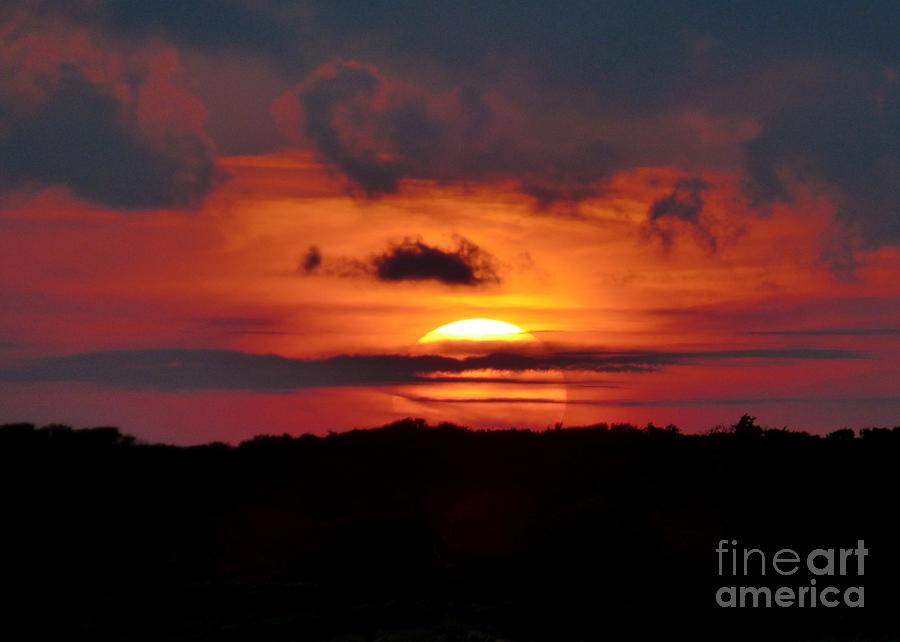 Sunset Photograph - Sunset Over Maritime Forest by Jean Wright