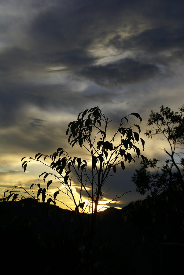 Sunset over Mussoorie  Photograph by Padamvir Singh