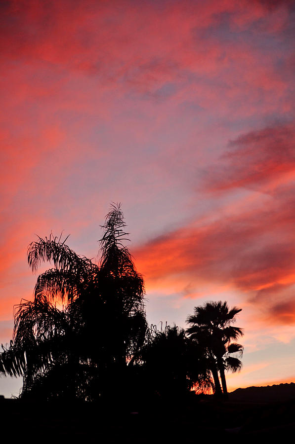 Sunset Over Palm Desert Mountains Photograph by Jay Milo