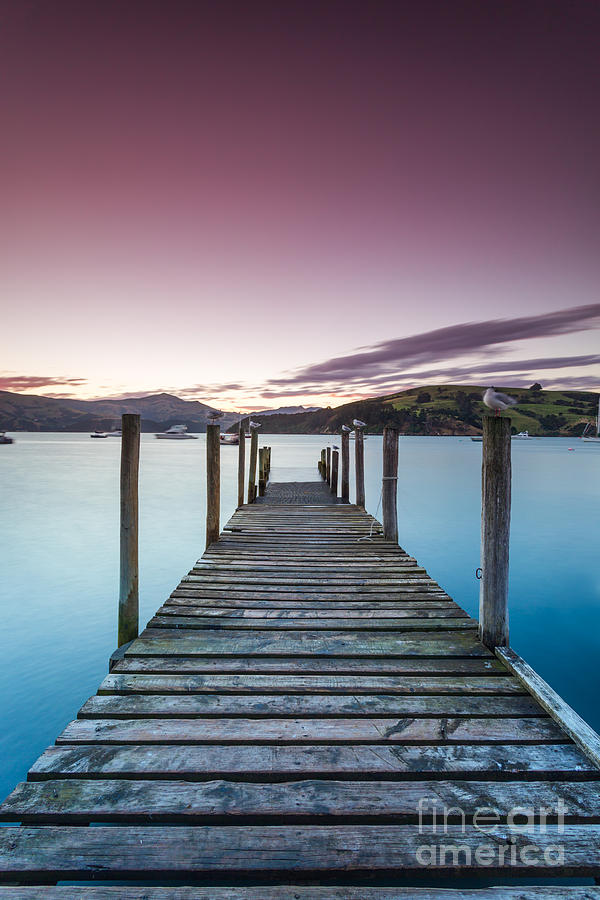 Sunset over pier - Akaroa - New Zealand Photograph by Matteo Colombo
