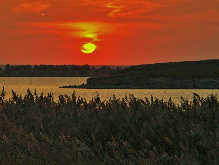 Sunset Over Reeds At Wilson Lake, Kansas Photograph