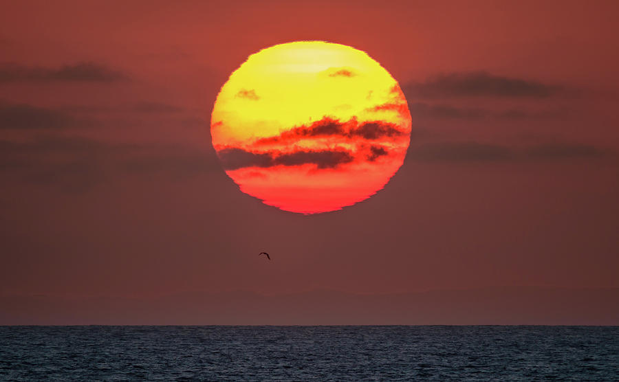Sunset Over Santa Catalina Island Photograph by Adam Rainoff
