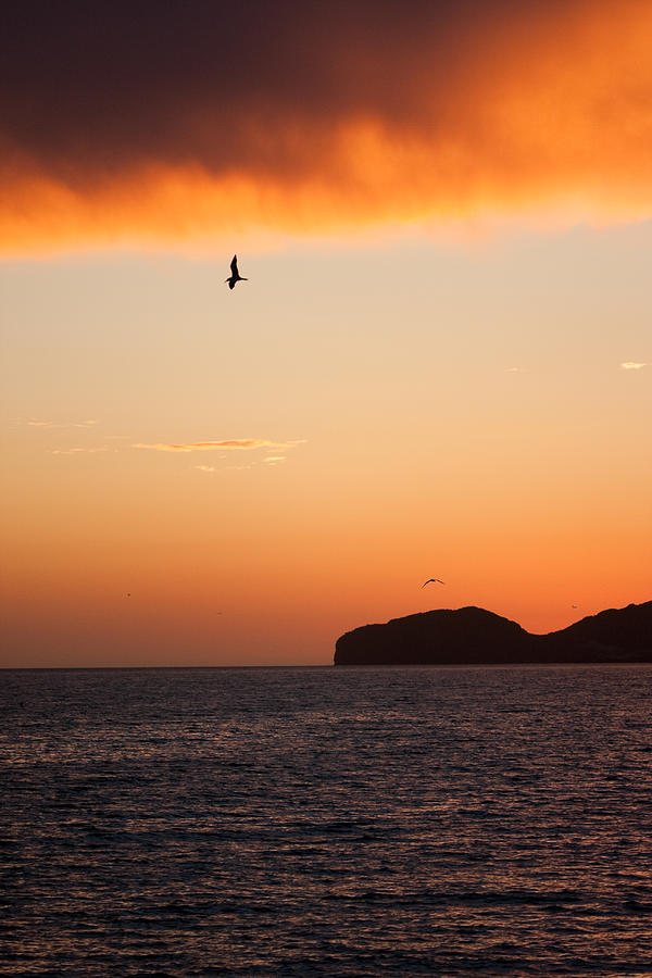 Sunset Over Sea Of Cortez Photograph by Dina Calvarese