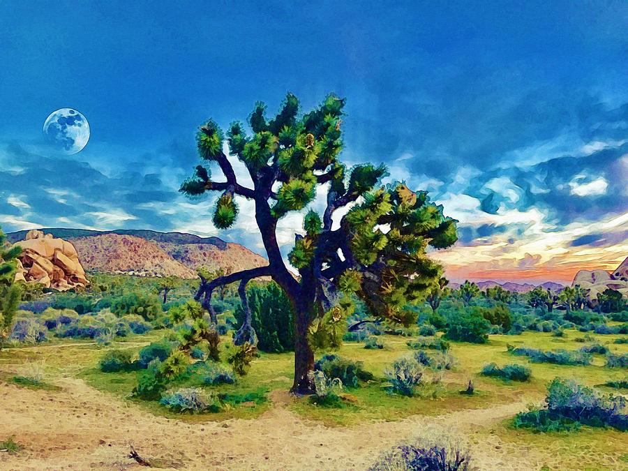 Sunset over Sonoran Desert by Adam Asar Painting by Celestial Images