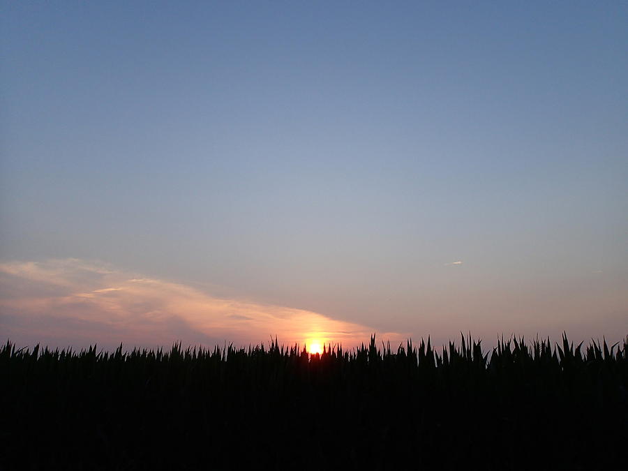 Sunset Over The Cornfield Photograph by Robert Nickologianis