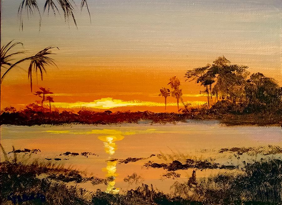 Sunset Over The Everglades Painting by Karim Gebahi