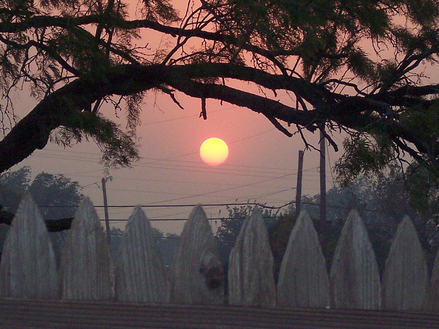 Sunset over the fence Photograph by Andreia Medlin