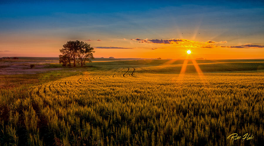 Sunset over the fields Photograph by Rikk Flohr