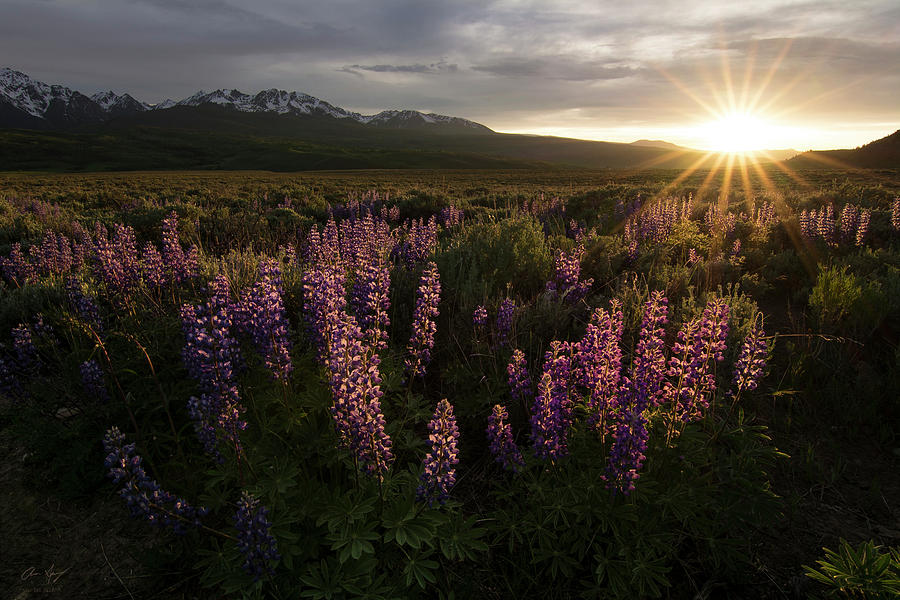 Sunset over the Gore Range Photograph by Aaron Spong