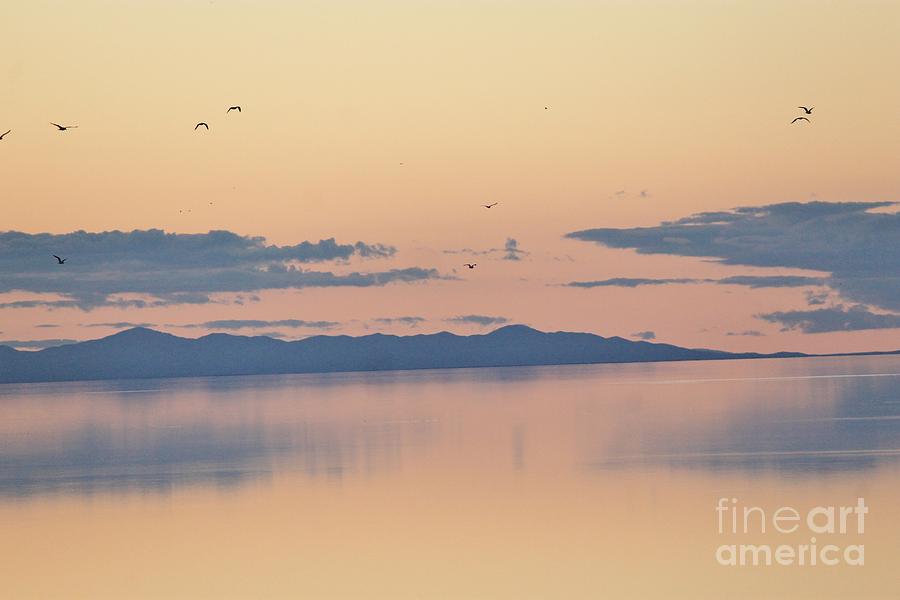 Nature Photograph - Sunset over the Great Salt Lake by Tonya Hance