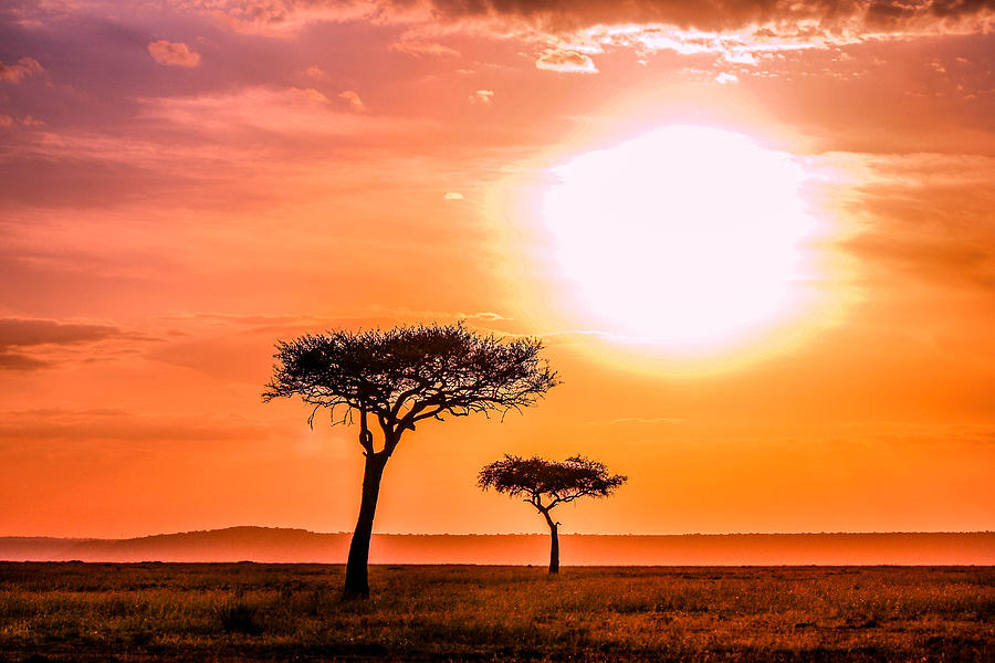Sunset Over The Masai Mara Photograph by Bryan Moore