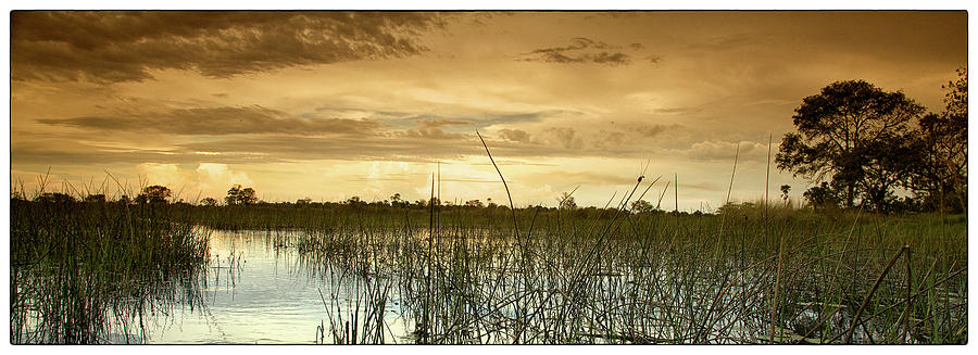 Sunset over the Okavango Photograph by Alberto Audisio