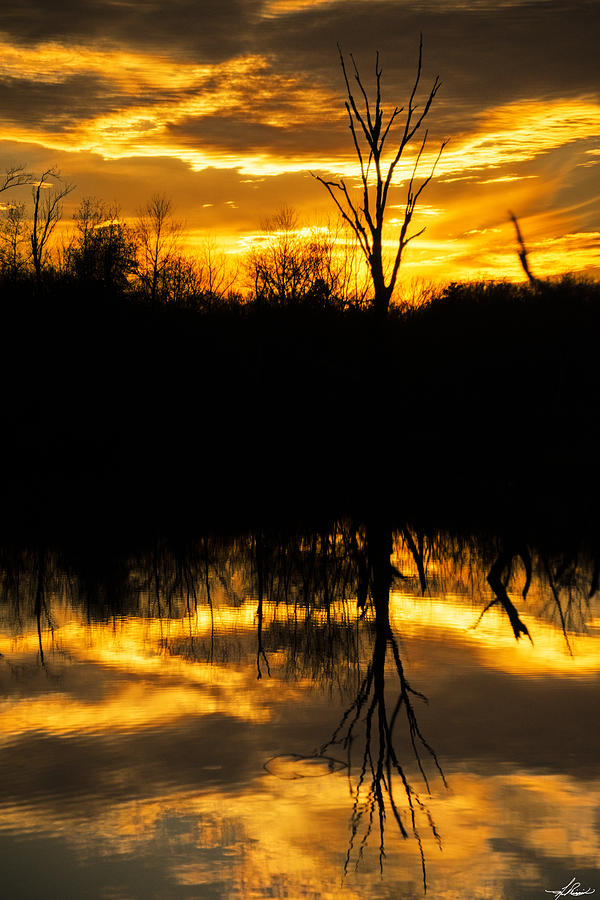 Tree Photograph - Sunset over the Sabine River by Phil And Karen Rispin