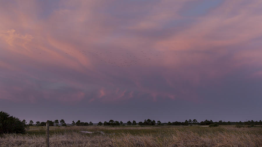 Sunset over the wetlands Photograph by David Watkins