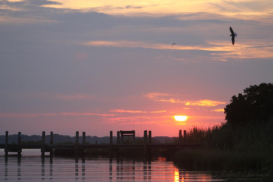 Sunset Over The Wetlands Photograph by Robert Banach