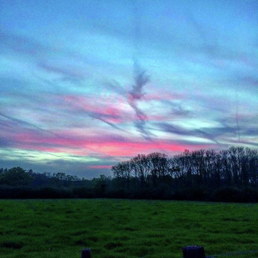 Sunset Photograph - Sunset Over The Woods Last Night Made by Chris Reid
