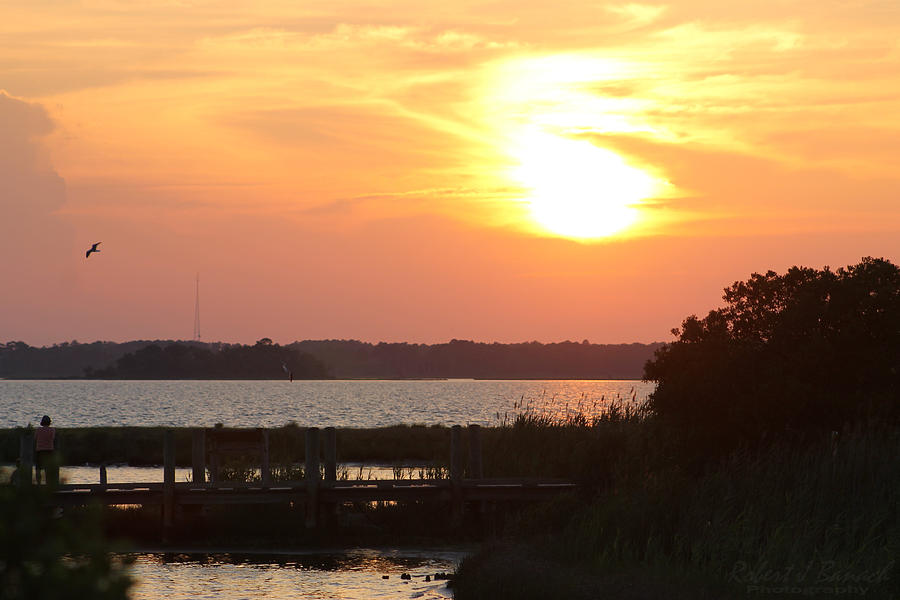 Sunset Over Wetlands Walkway Photograph by Robert Banach